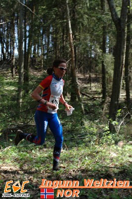 Moving in the forest