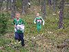 Mini Ilves