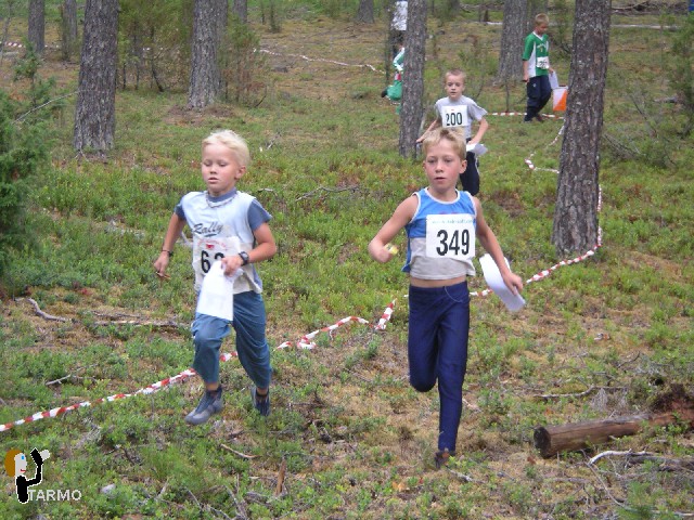 Mini Ilves, tihe rebimine