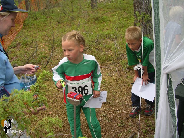 Mini Ilves