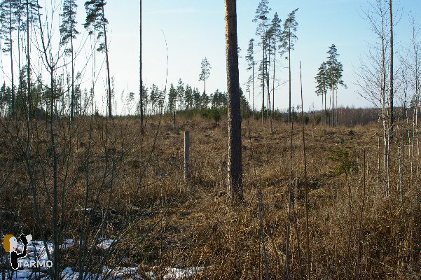 Selgise maastik