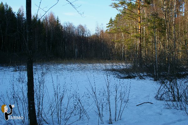 Selgise maastik