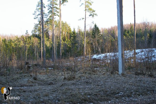 Selgise maastik