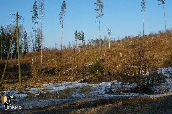 Selgise maastik