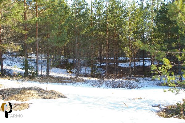 Selgise maastik