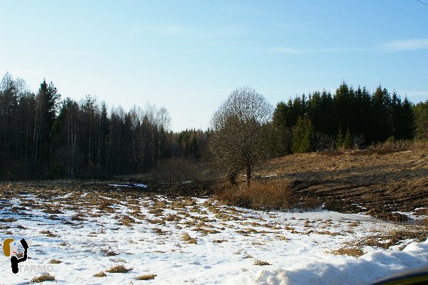 Selgise maastik