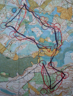 Ilvesteade 1989 Ip.  Ede Ümariku teekond- 1 vahetus must joon, Irina Misiuniene- 2 vahetus, punane joon