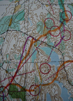 1990a. Ilvesteade. Tipptasemel kaardistajate töö. Fragment mikroreljeefiga Pikksaare kaardist. Leningradlaste M. Svjatkini ja I. Gussevi teekond, 3-4 vahetus.
