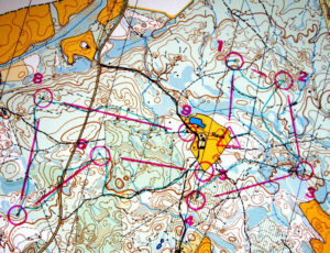 994.a. Pangodi. 2 päeva 3 vahetuse liidri Alida Abola teekond- "rohelises" metsas ringijooksud tasusid ära