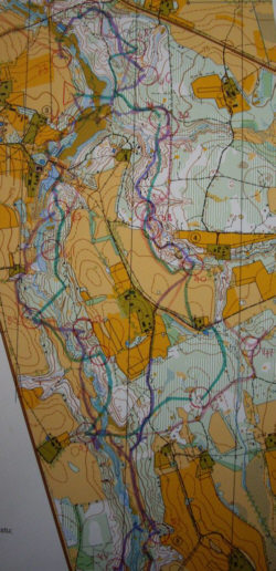 1996.a. Viljandi Ilvesteade. Põrguoru kaart koos 1 võistluspäeva liidrite teekonnadega: roosa- Rene Otteson, lilla- Inno Ling, roheline- Tarvo Avaste